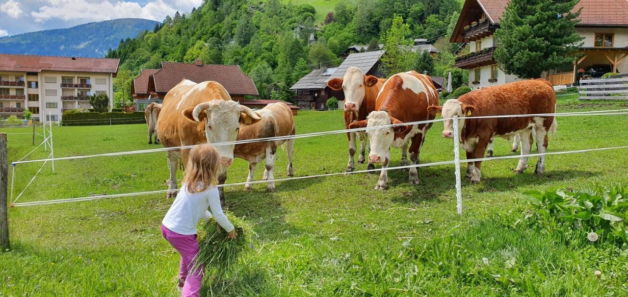 Ferienhaus Michael Bad Kleinkirchheim Zewnętrze zdjęcie